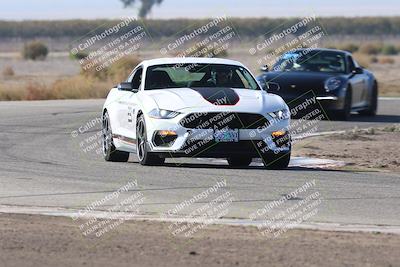 media/Nov-01-2025-PCA Central Coast (Sat) [[5e27ded23e]]/White Group/Grapevine/